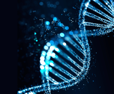 Government 10 Year Health Plan: Fit for the Future