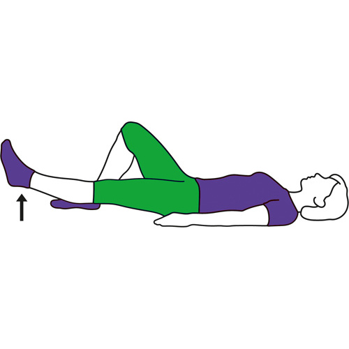 Straight Leg Raise Lying