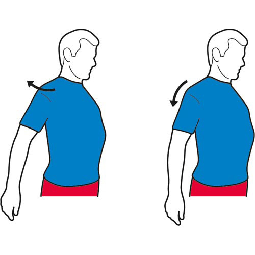 Shoulder Stretch