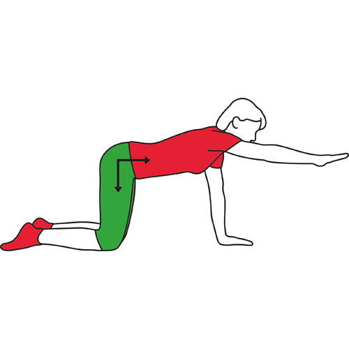 Back Stabiliser