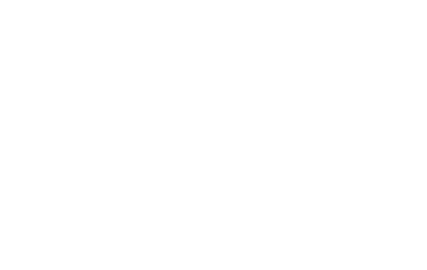 Key research information