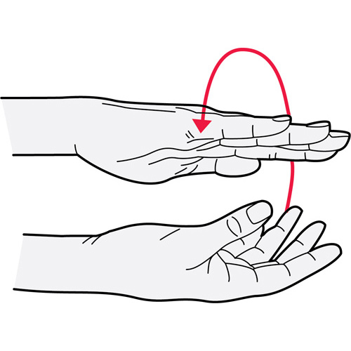 Wrist Turn