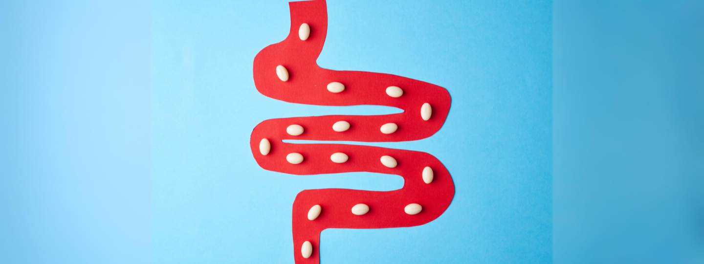 Illustration of red intestine with white tablets passing through.