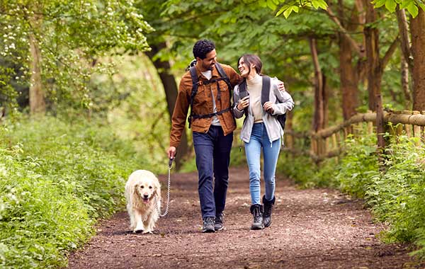 The positive impact of exercise on your arthritis - What our research tells us