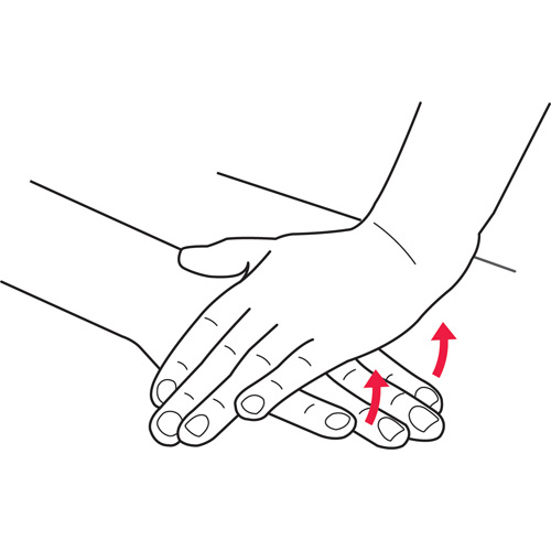 Palm Lift