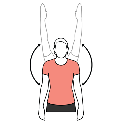 Straight Arm Lift Exercise