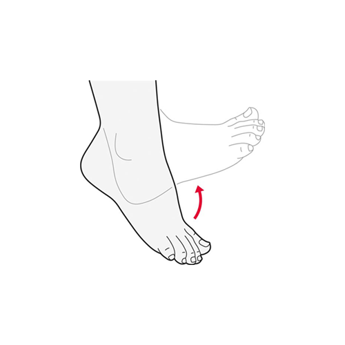 Range Of Motion