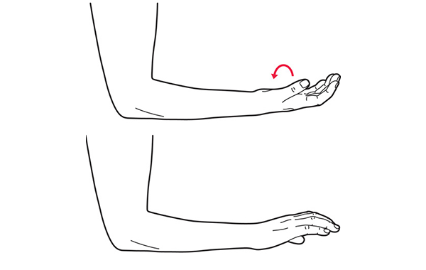 Wrist turn exercise