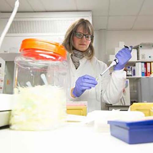 Lady researcher in lab