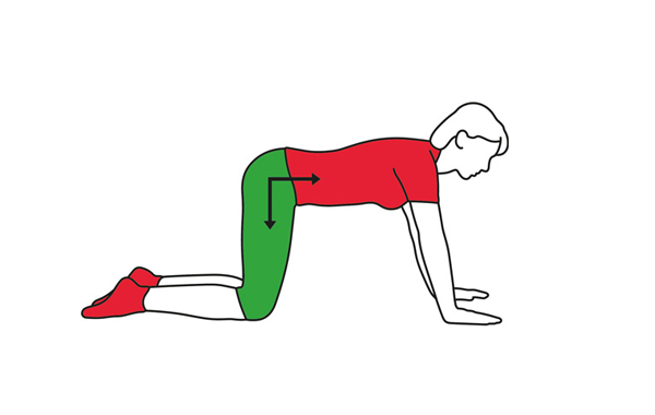 Deep stomach muscle tone exercise