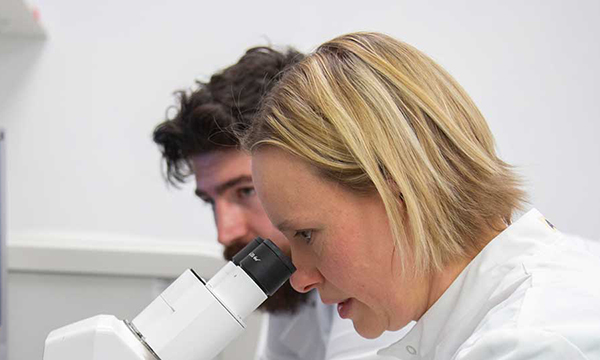 Dr Amy Naylor