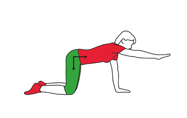 Back stabliser exercise