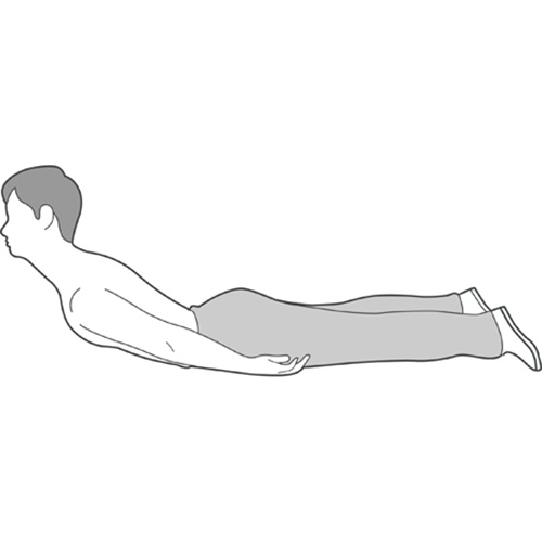 Laying On Front Arms Side 