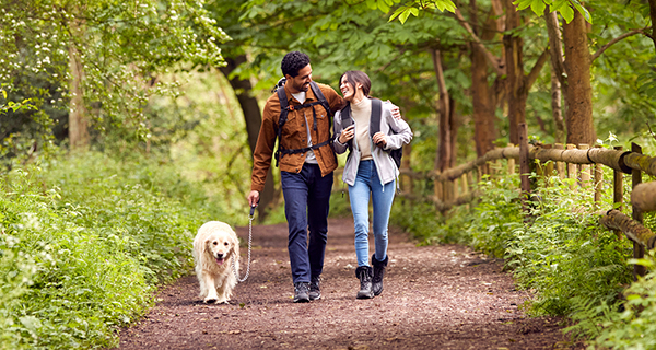 The positive impact of exercise on arthritis: What our research tells us