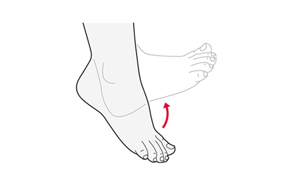 Ankle stretch range of motion