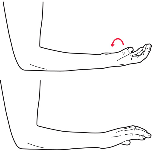 Wrist Turn