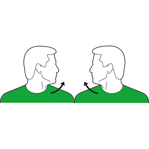 Head Turn
