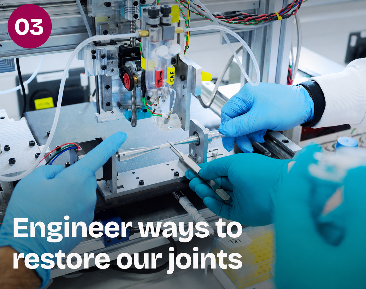 Engineer Ways To Restore Our Joints