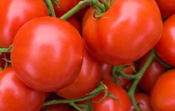 Are Tomatoes bad for arthritis
