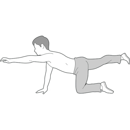 Kneeling Arm And Leg Lift
