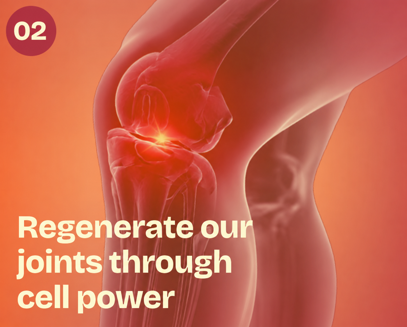 Regenerate Our Joints Through Cell Power